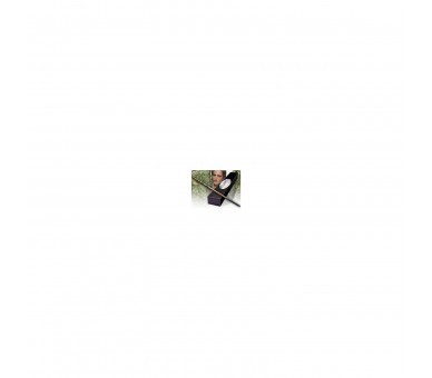 Varita Cedric Diggory Harry Potter