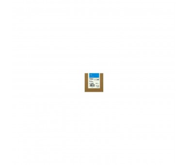 Epson Cartucho De Tinta Cian Stylus Photo Sp 7700/7890/7900/