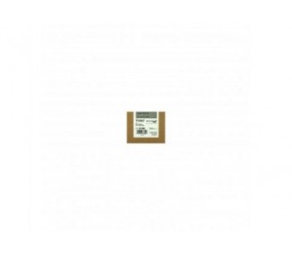 Epson Cartucho De Tinta Gris Stylus Photo Sp 7700/7890/7900/