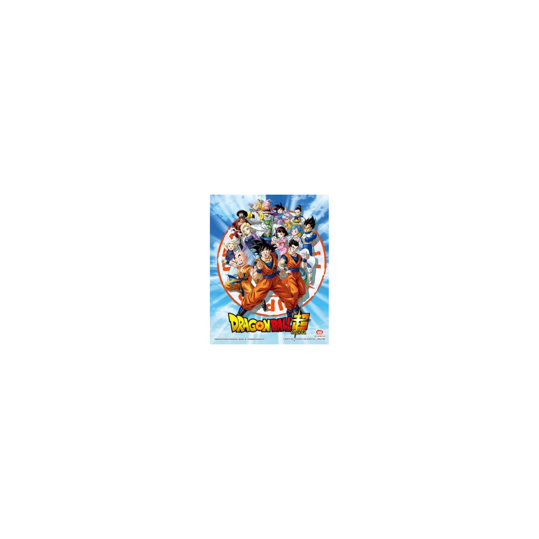 Dragon Ball S Framed 3D Cornice Goku Z Fighters 26x20 (gt5)