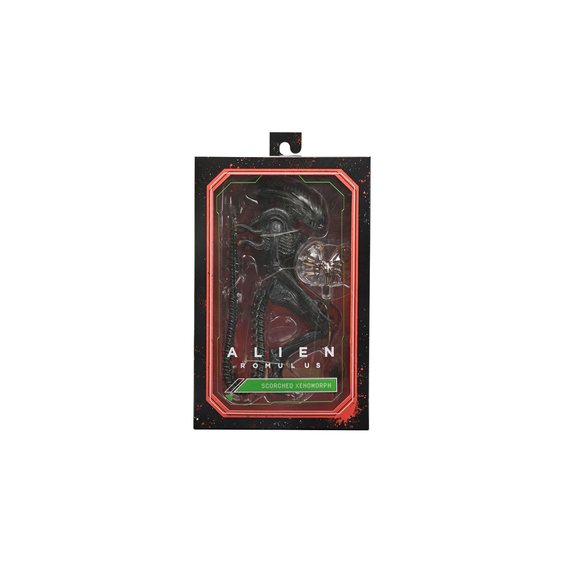 Figura Ultimate Scorched Xnomorph Alien Romulus 23cm