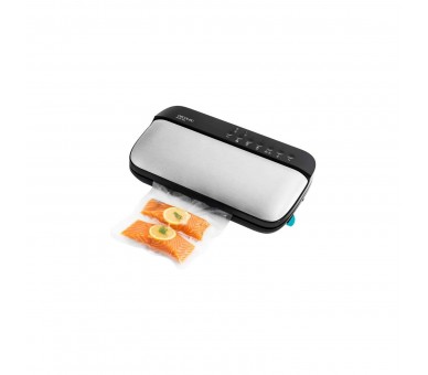 Envasadora Sealvac Steel