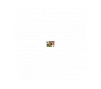 Multipack Cartucho Tinta Epson 378 C13T37884010 6 Colores Fo