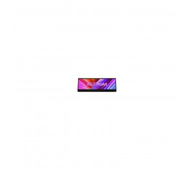 Monitor Led 14  Asus Pa147Cdv Negro