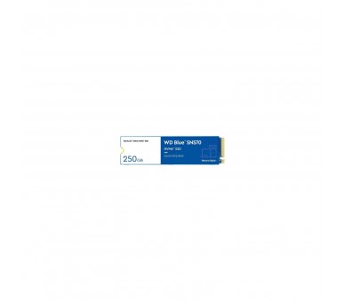 Disco Ssd Western Digital Wd Blue Sn570 250Gb/ M.2 2280 Pcie