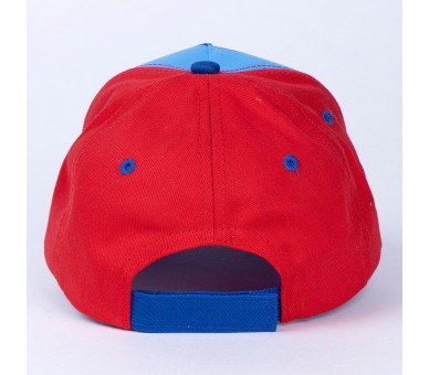 Gorra Sonic The Hedgehog surtido