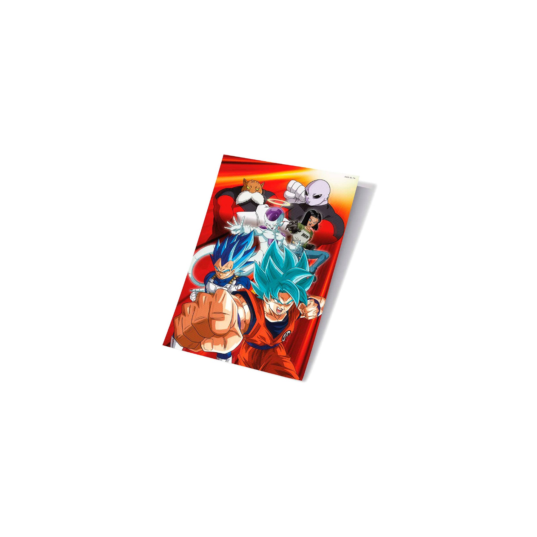 Poster 3D Universal Survival Battle Dragon Ball Super