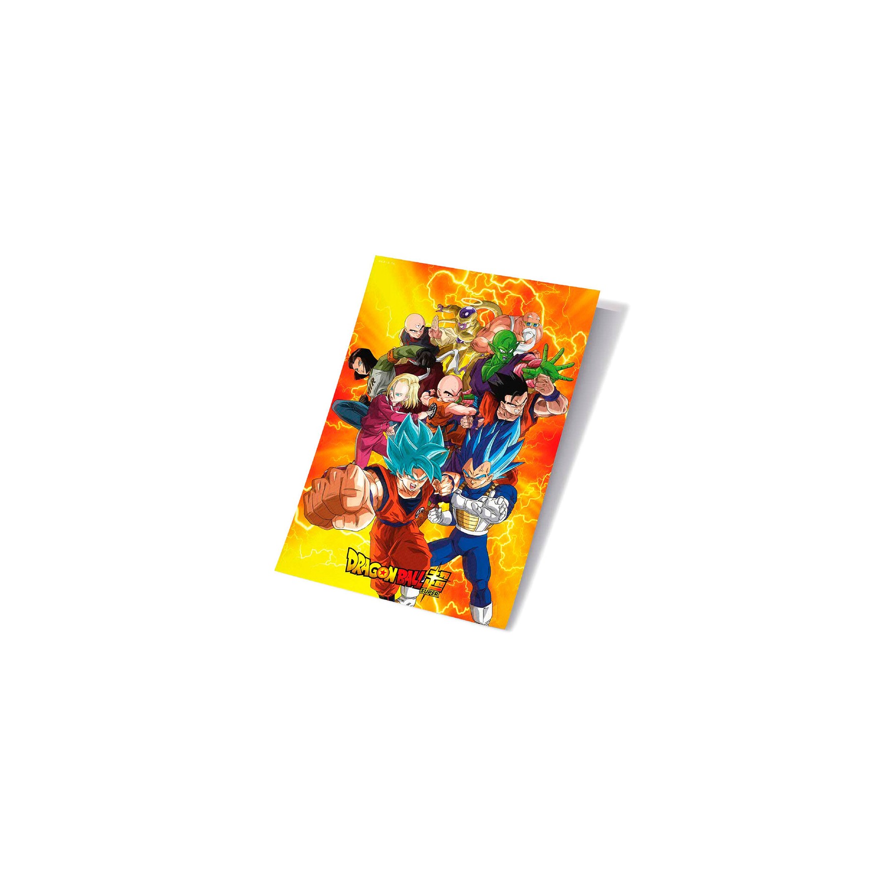 Poster 3D Universal Survival Heroes Dragon Ball Super