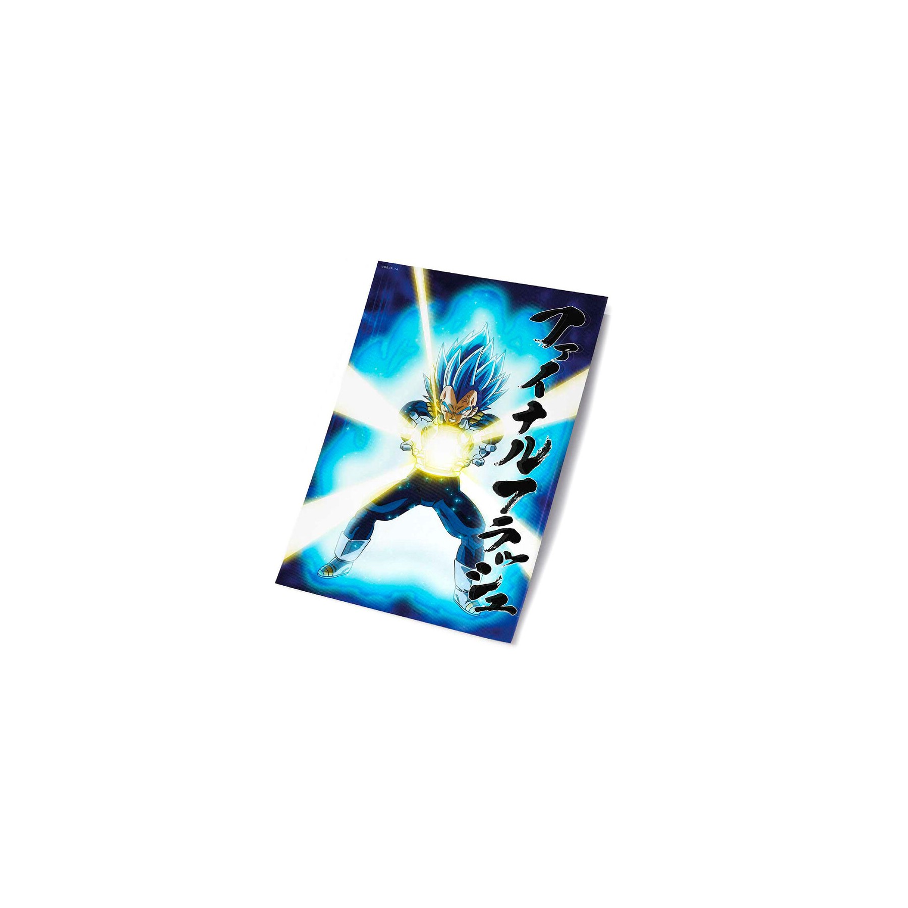 Poster 3D Universal Survival Vegeta Dragon Ball Super