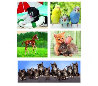 Puzzle Animales Amigos 18+30+48+60pzs