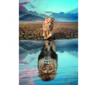 Puzzle super Autoreflexion 300pzs