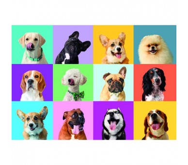 Puzzle super Caras Divertidas 300pzs