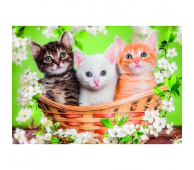 Puzzle Hermanos de Piel 2x60pzs