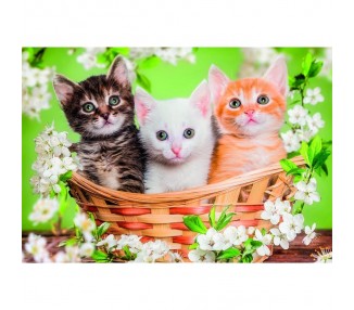 Puzzle Hermanos de Piel 2x60pzs