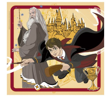 Puzzle Harry Potter 3x48pzs