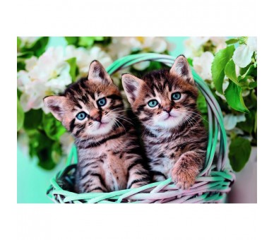 Puzzle Gatitos Gemelos 60pzs