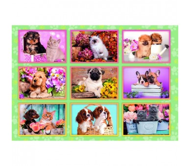 Puzzle super Collage de Cachorros 180pzs