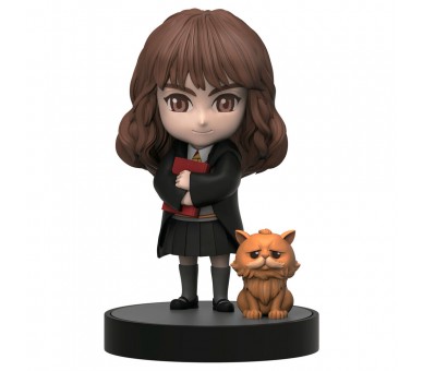 Figura sorpresa Hero Box Harry Potter surtido