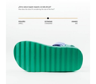 Sandalias La Sirenita Disney