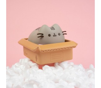 Hucha Pusheen