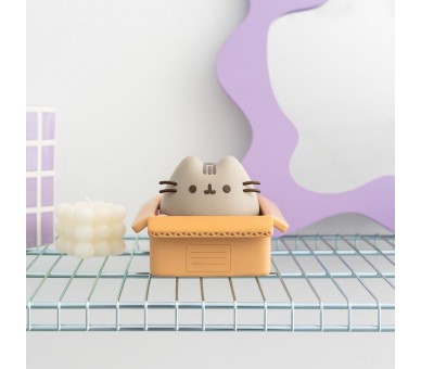 Hucha Pusheen