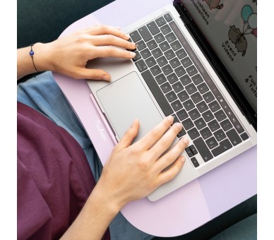 Soporte ordenador portatil Pusheen