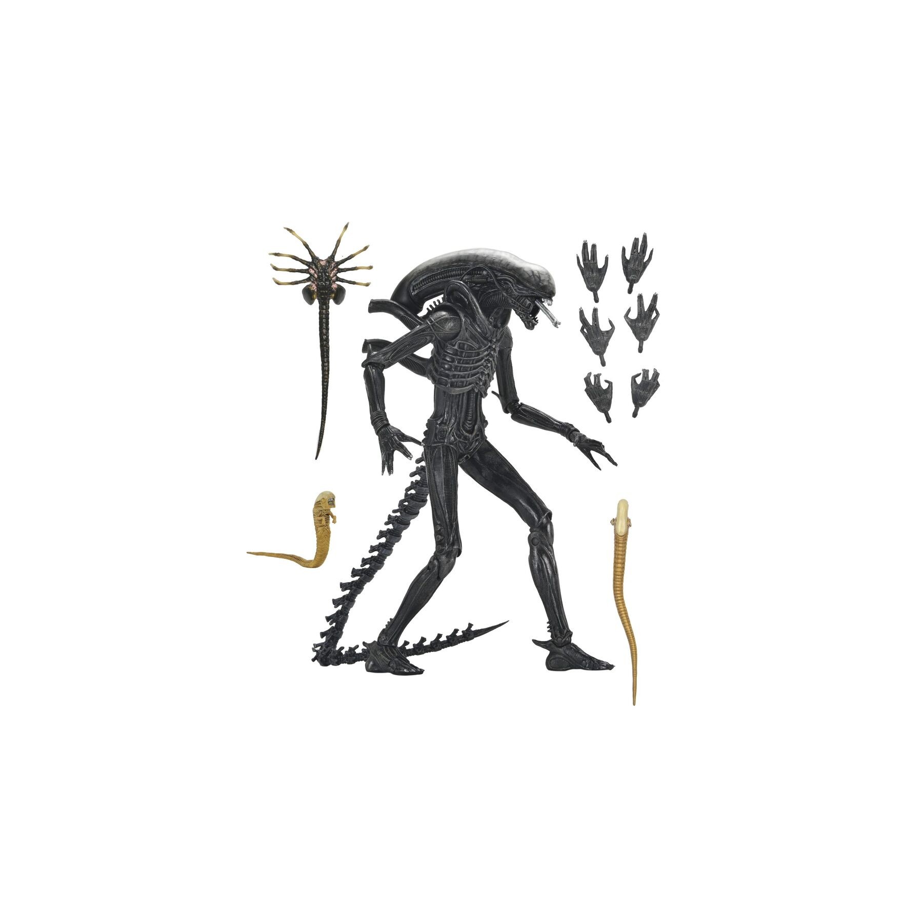 Figura Ultimate Xenomorph Alien: Romulus 18cm