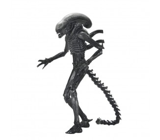Figura Ultimate Xenomorph Alien: Romulus 18cm