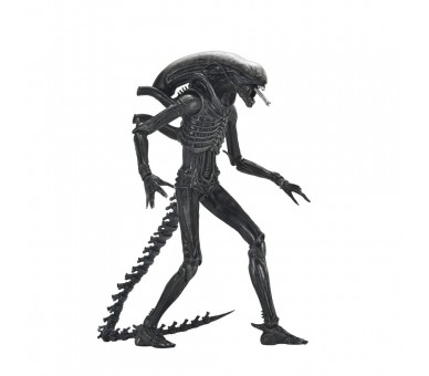 Figura Ultimate Xenomorph Alien: Romulus 18cm