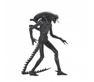 Figura Ultimate Xenomorph Alien: Romulus 18cm
