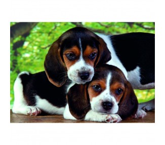 Puzzle Close Together High Quality 500pzs