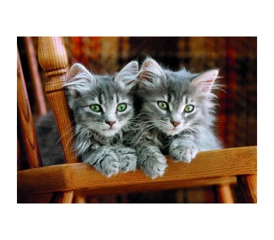 Puzzle Kittens High Quality 500pzs