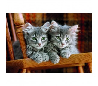 Puzzle Kittens High Quality 500pzs
