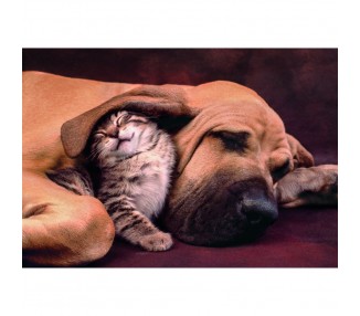 Puzzle Cuddles High Quality 500pzs