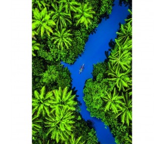 Puzzle Tropical Aerial View High Quality 500pzs
