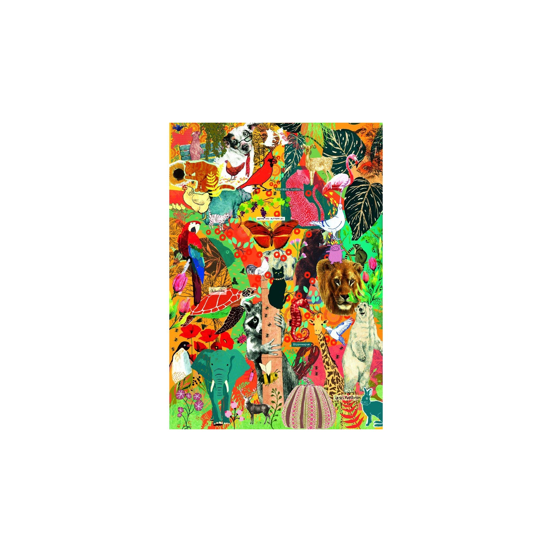 Puzzle Animal Botanics Speciali Noli 1000pzs