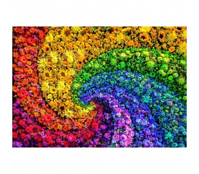 Puzzle Whirl Color Boom 1000pzs
