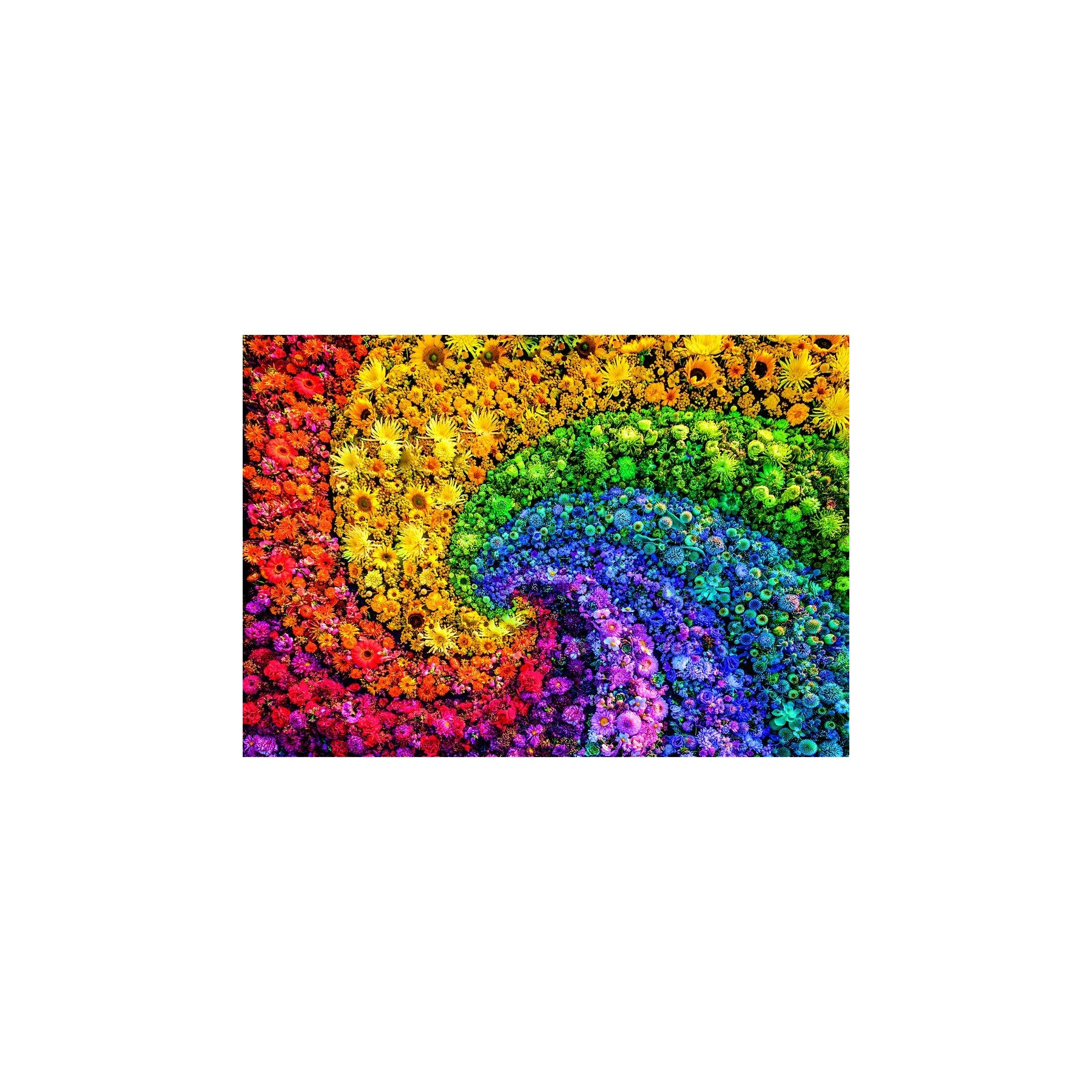 Puzzle Whirl Color Boom 1000pzs