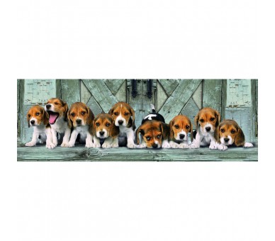 Puzzle Panorama Beagles High Quality 1000pzs