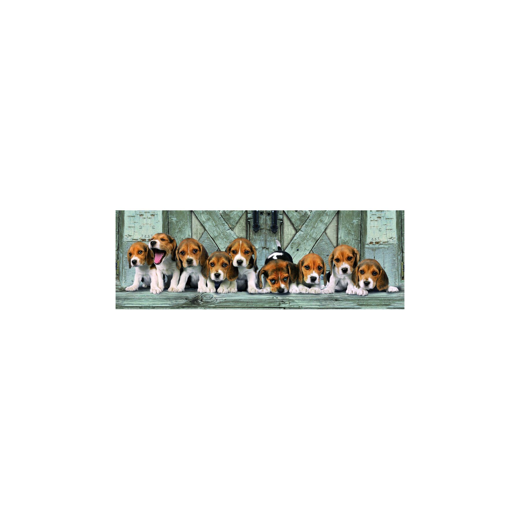 Puzzle Panorama Beagles High Quality 1000pzs