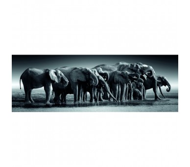 Puzzle Panorama Herd of Giants High Quality 1000pzs
