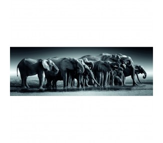 Puzzle Panorama Herd of Giants High Quality 1000pzs