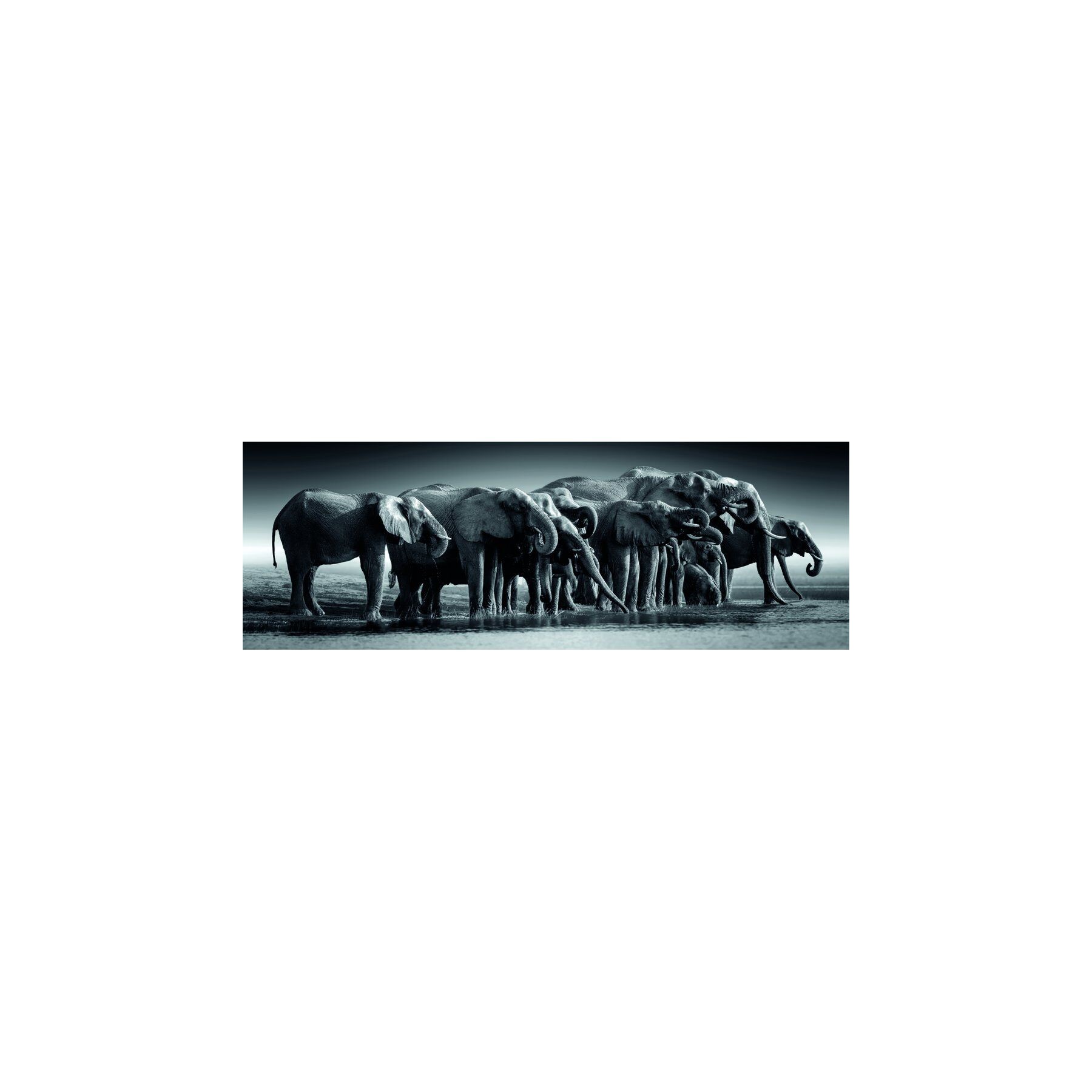 Puzzle Panorama Herd of Giants High Quality 1000pzs