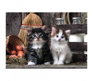 Puzzle Lovely Kittens High Quality 1000pzs