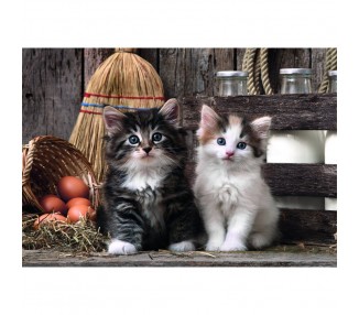 Puzzle Lovely Kittens High Quality 1000pzs