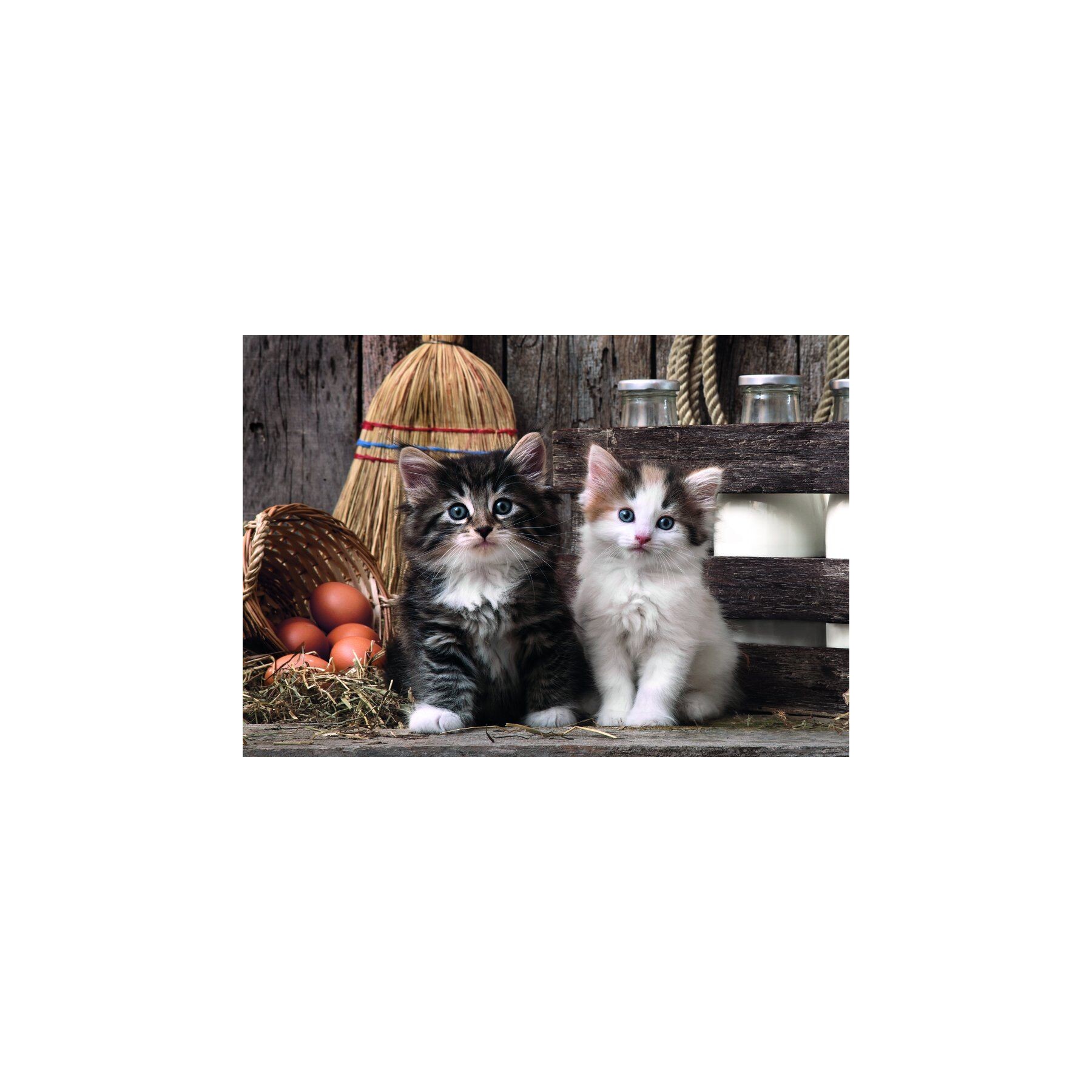 Puzzle Lovely Kittens High Quality 1000pzs