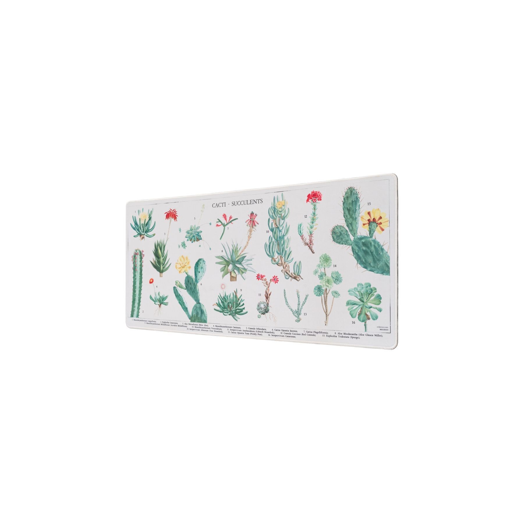 Alfombrilla gaming Cactus Botanicos