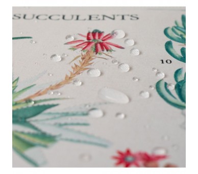 Alfombrilla gaming Cactus Botanicos