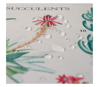 Alfombrilla gaming Cactus Botanicos