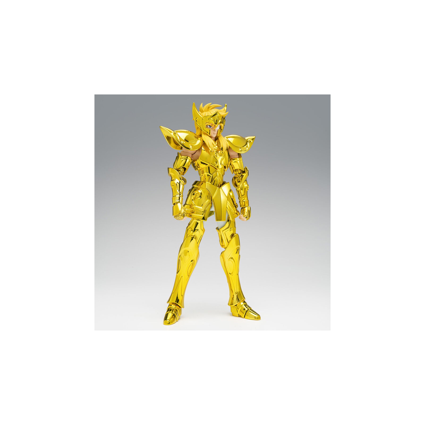 Figura Aquarius Hyoga Inheritor of the Gold Cloth Saint Cloth Myth Ex Saint Seiya 17